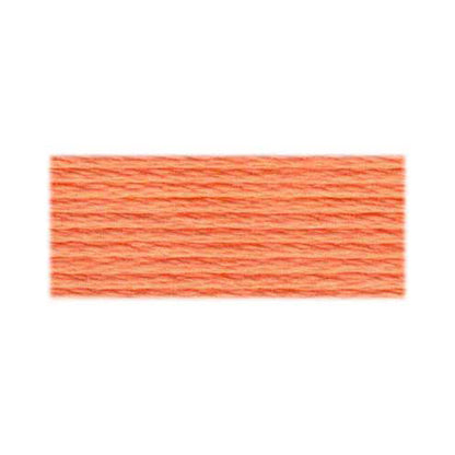 DMC Mouliné Spécial Stranded Embroidery Floss 8 m Colour 3825