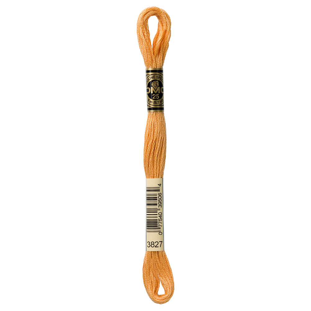 DMC Mouliné Spécial Stranded Embroidery Floss 8 m Colour 3827