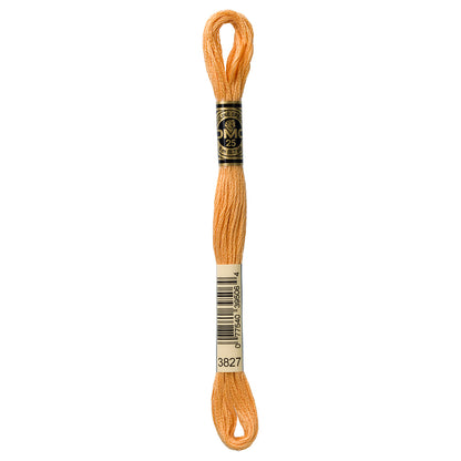 DMC Mouliné Spécial Stranded Embroidery Floss 8 m Colour 3827