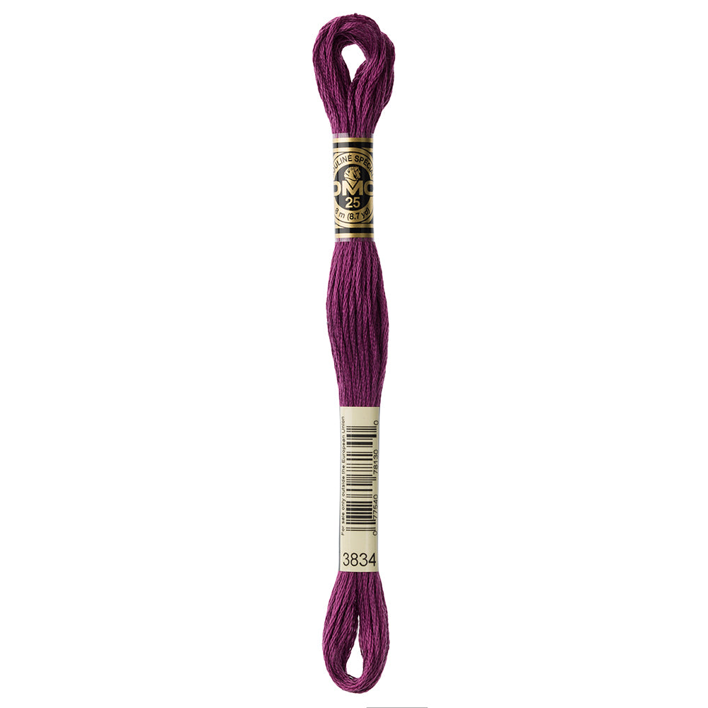 DMC Mouliné Spécial 117 6-Strand Cotton Floss 8 m, Colour 3834