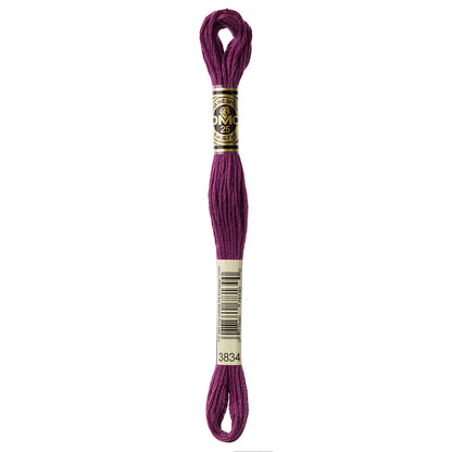 DMC Mouliné Spécial 117 6-Strand Cotton Floss 8 m, Colour 3834