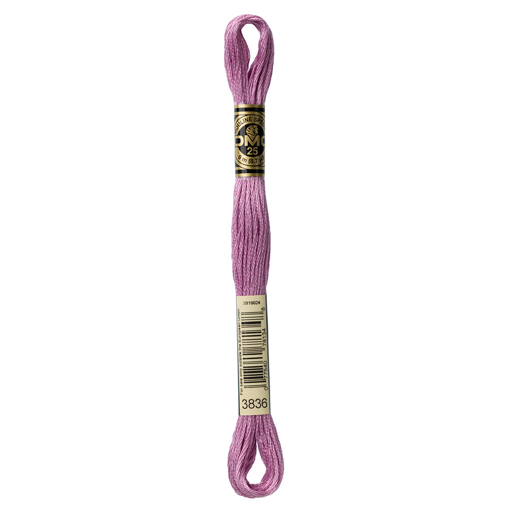 DMC Mouliné Spécial 117 6-Strand Cotton Floss 8 m, Colour 3836