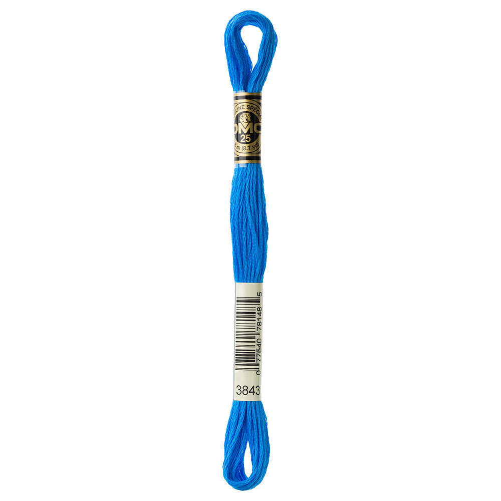 DMC Mouliné Spécial 117 6-Strand Cotton Floss 8 m, Colour 3843
