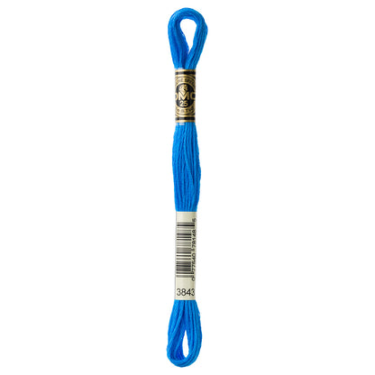 DMC Mouliné Spécial 117 6-Strand Cotton Floss 8 m, Colour 3843