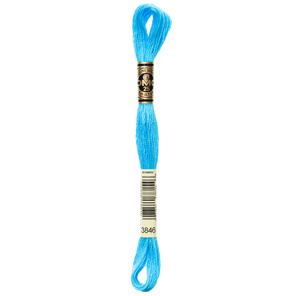 DMC Mouliné Spécial 117 6-Strand Cotton Floss 8 m, Colour 3846