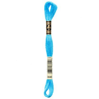 DMC Mouliné Spécial 117 6-Strand Cotton Floss 8 m, Colour 3846