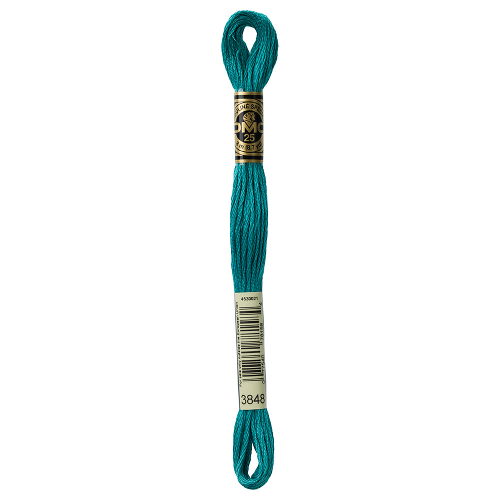 DMC Mouliné Spécial 117 6-Strand Cotton Floss 8 m, Colour 3848