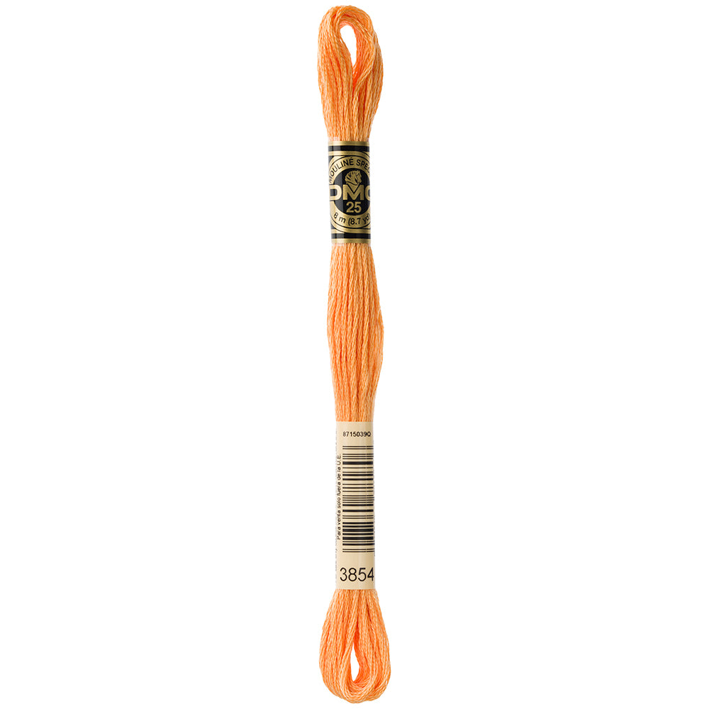 DMC Art. 117 Six-Strand Cotton Floss 8 m Colour 3854