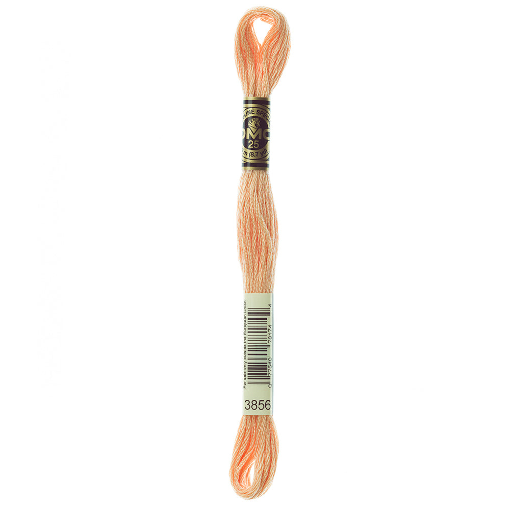 DMC Art. 117 Six-Strand Cotton Floss 8 m Colour 3856