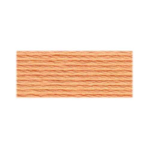 DMC Art. 117 Six-Strand Cotton Floss 8 m Colour 3856
