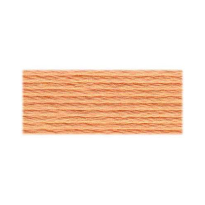 DMC Art. 117 Six-Strand Cotton Floss 8 m Colour 3856