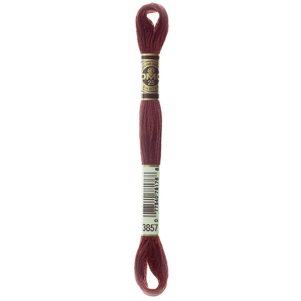 DMC Art. 117 Six-Strand Cotton Floss 8 m Colour 3857