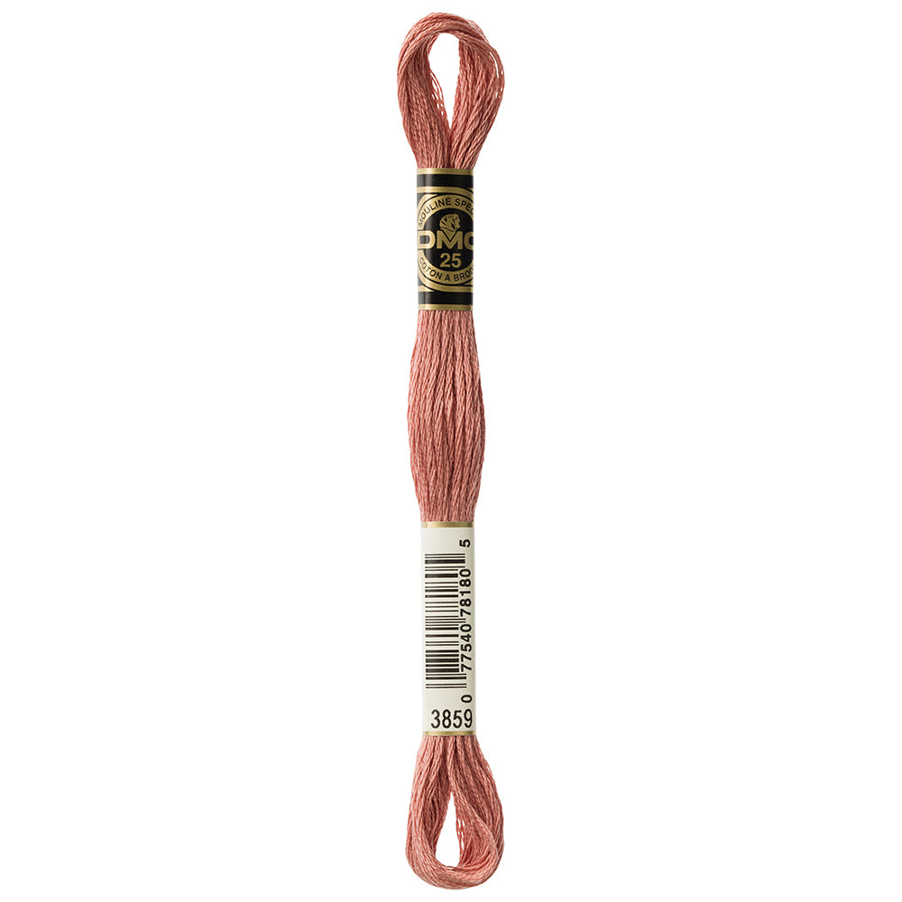 DMC Art. 117 Six-Strand Cotton Floss 8 m Colour 3859