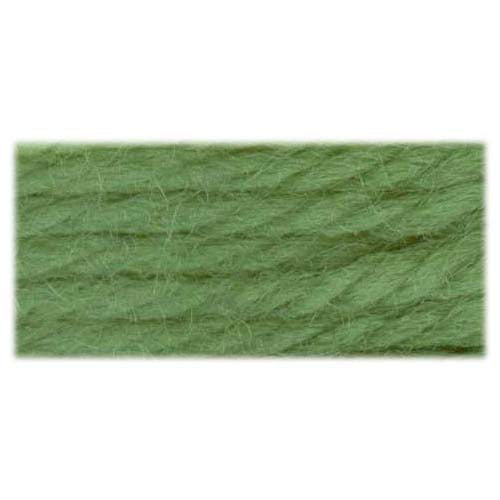 DMC #486 Tapestry Wool Needlepoint Yarn 8 m Shade 7042