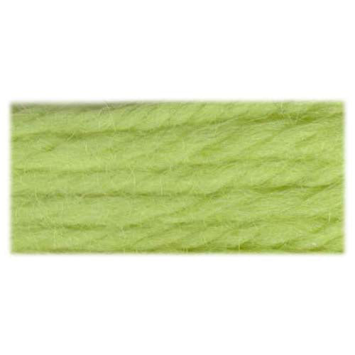 DMC Tapestry Wool needlepoint yarn, 8 m, Shade 7340 Granny Smith