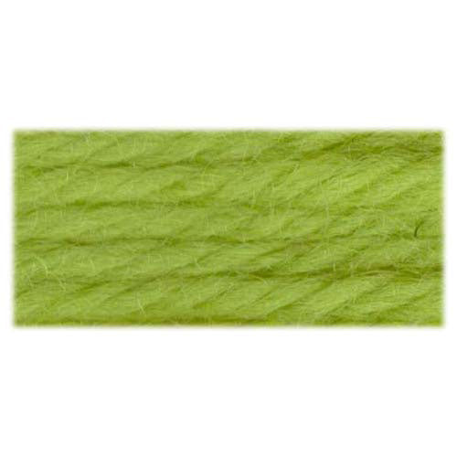 DMC Tapestry Wool needlepoint yarn, 8 m, Shade 7341 Lime
