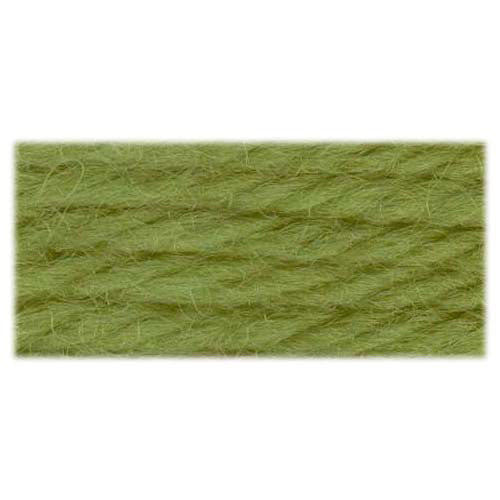 DMC #486 Tapestry Wool Needlepoint Yarn 7.96 m (8.7 yd), Shade 7769