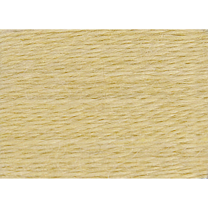 DMC Eco Vita 360 Naturally Dyed Crewel Wool, 16 m (17.5 yd) - 201