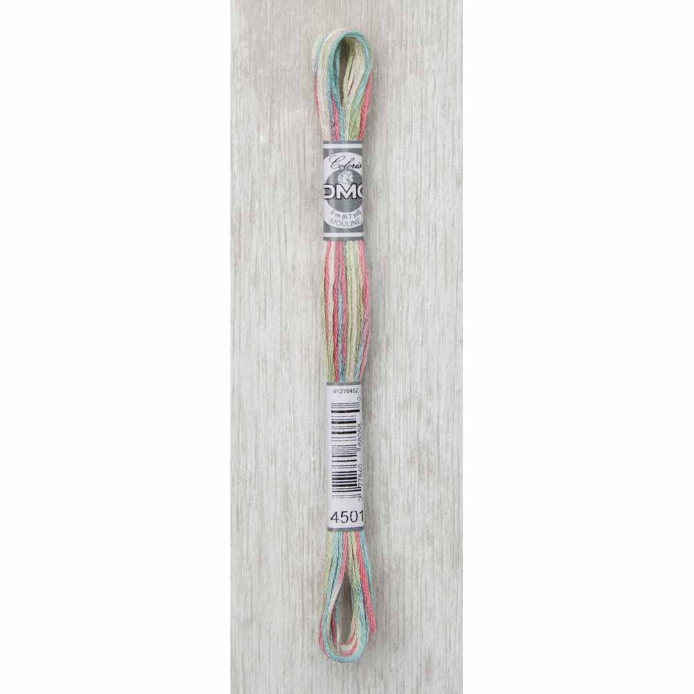 DMC Colouris Embroidery Floss, 4501 Wildflowers, 8 m