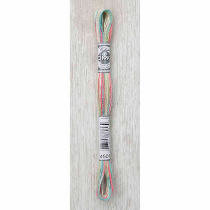 DMC Colouris Embroidery Floss, 4501 Wildflowers, 8 m