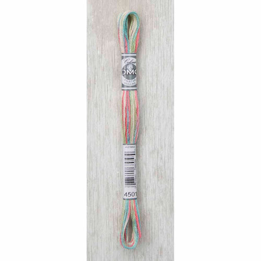 DMC Colouris embroidery floss, 4501 Wildflowers, 8 m (8.7 yd)
