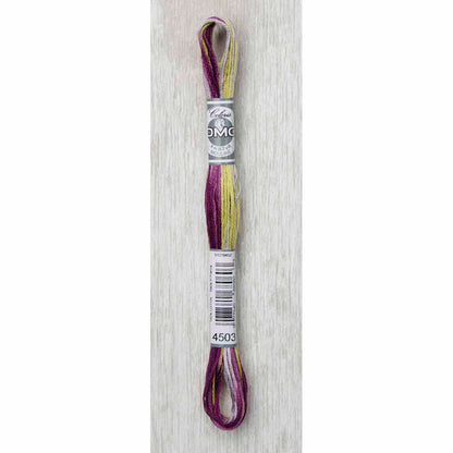 DMC Colouris Embroidery Floss 8 m - 4503 Wisteria