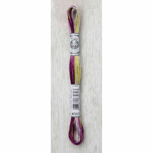 DMC Colouris Embroidery Floss 8 m - 4503 Wisteria