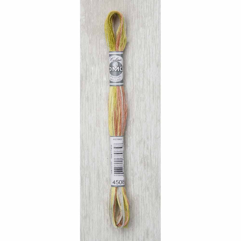 DMC Colouris Embroidery Floss 8 m - 4508 Frosted Countryside
