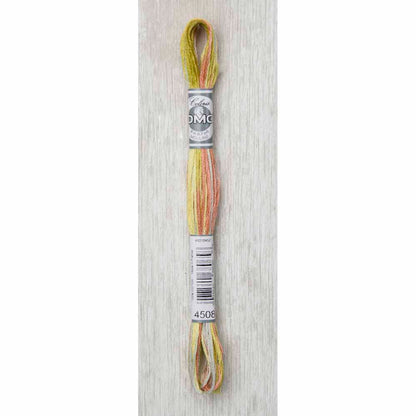 DMC Colouris Embroidery Floss 8 m - 4508 Frosted Countryside