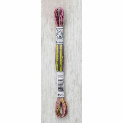 DMC Colouris Embroidery Floss 8 m - 4509 Granite Coast