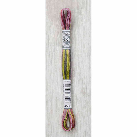 DMC Colouris embroidery floss, 4509 Granite Coast, 8 m (8.7 yd)