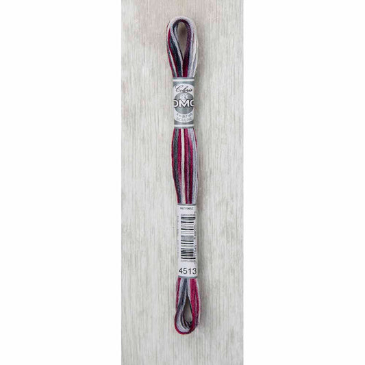 DMC Colouris Embroidery Floss 8 m - 4513 London