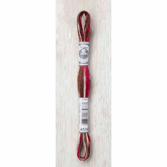 DMC Colouris Embroidery Floss 8 m - 4516 Black Forest