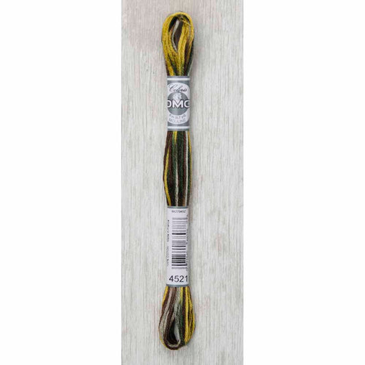 DMC Colouris embroidery floss, 4521 Wide Open Spaces, 8 m