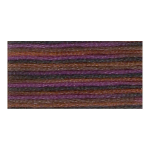 DMC Colouris Embroidery Floss 8 m - 4522 Canadian Night