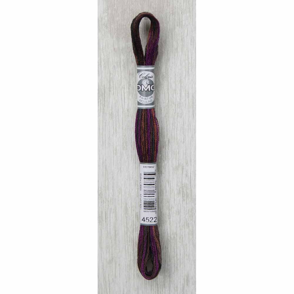 DMC Colouris Embroidery Floss 8 m - 4522 Canadian Night