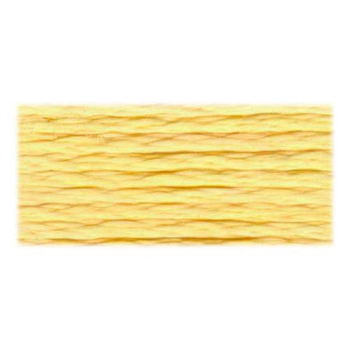 DMC Satin Floss 6-Strand, 8 m (8.7 yd), Colour Code S726