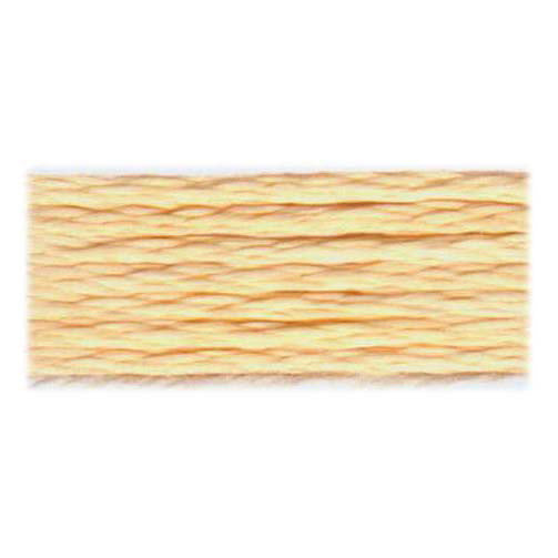 DMC Satin Floss 6-Strand Rayon 8 m, Shade Code S745, 1 Skein
