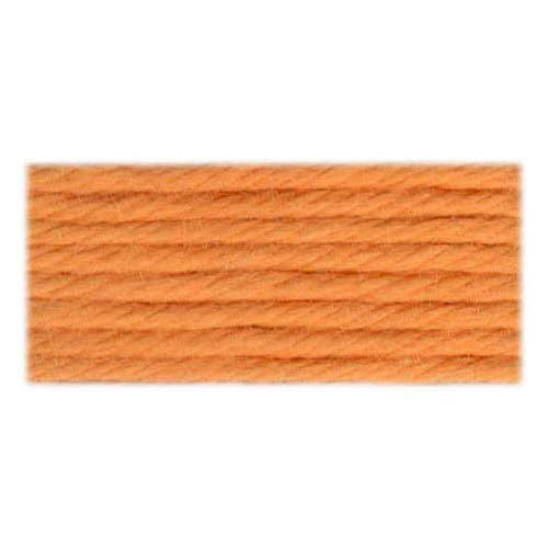 DMC Matte Cotton Tapestry Yarn, 5-Strand, 10 m, Colour 2160