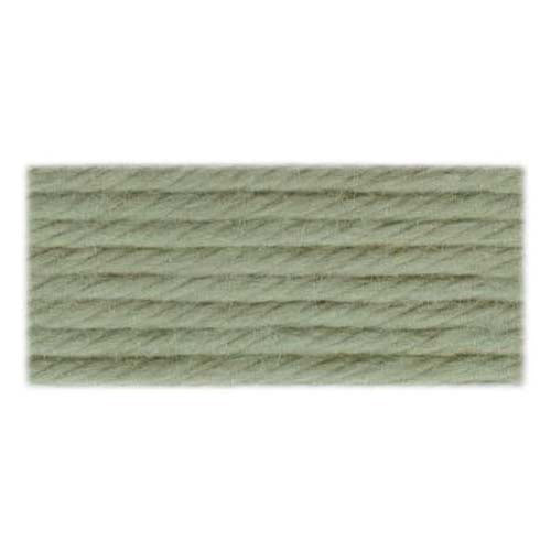 DMC Soft Cotton Tapestry Thread 10m Colour 2648