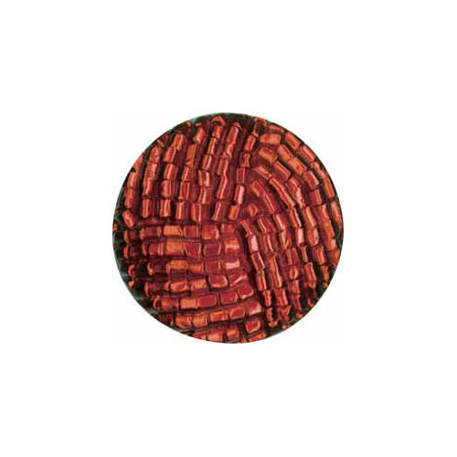 ELAN Shank Button - 23mm (7/8") - 2 count